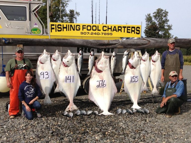 fishing fool charters